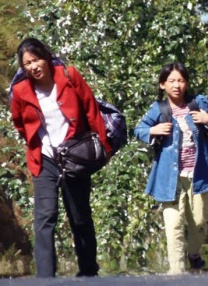 韩日av在线